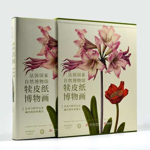 《法国国家自然博物馆犊皮纸博物画：艺术与科学完美融合的传世瑰宝》 商品图1
