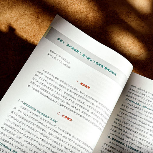 长三角教育现代化典型案例100 长三角教育现代化监测评估研究丛书 商品图11