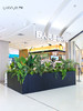高仿真植物造景定制设计/商场家居多场景生态景观搭建+一站式安装（具体价格可咨询商家） 商品缩略图0