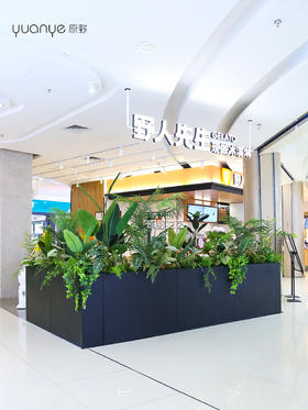 高仿真植物造景定制设计/商场家居多场景生态景观搭建+一站式安装（具体价格可咨询商家）