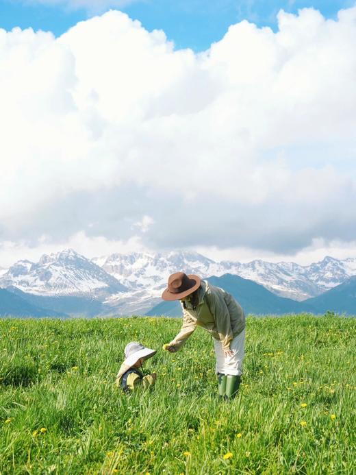 新疆大环线·双点进出双飞8日游-不走回头路【业主专团】纯玩0购物 小区接送 【旅游】 商品图7