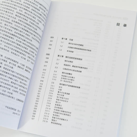 银行技术手册：数字化转型与竞争优势重塑 德勤公司蒂姆·沃克 卢西恩·莫里斯 金融科技现状与转型 前瞻落地指导书籍 商品图4