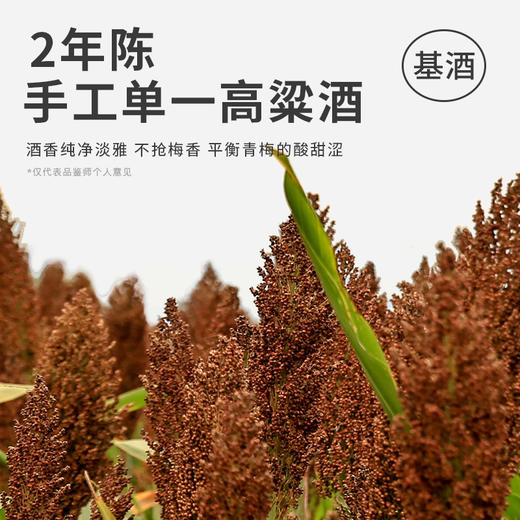 五天左右发货可定制 【自营】梅见原果青梅酒12度750ml 微醺果酒梅子酒浸泡酒甜酒宴请喜宴赠礼 商品图6