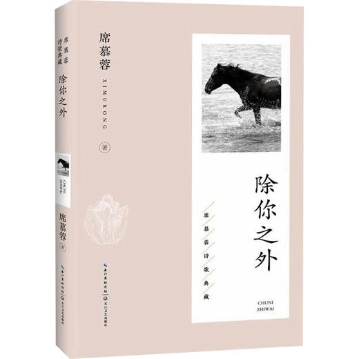 除你之外 商品图0