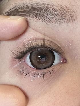 macycon月抛美瞳 甜豆沙棕 14.5mm
