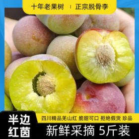 超好吃！正宗脱骨李四川羌山红新鲜采摘空心半边红茵李土青脆红李孕妇小孩