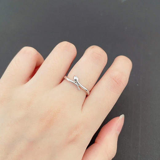 【限时8.8折】【线上铂金馆】PT950 #蛇思妙想 【国际铂金协会】铂金蛇思妙想活口女戒灵蛇女戒(BJZ00178)预售产品下单后不退款不退货不换货不补差价) 商品图2