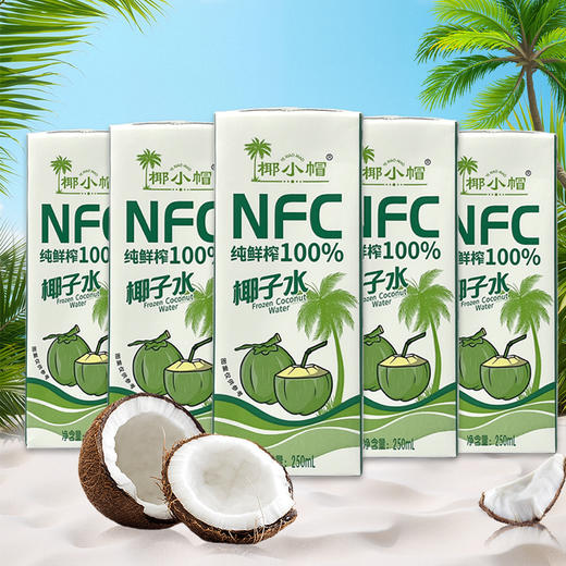 严选 | 椰小帽·泰国纯鲜榨100%椰子水 250ml×10盒/箱  泰国进口 纯粹无添加 商品图6