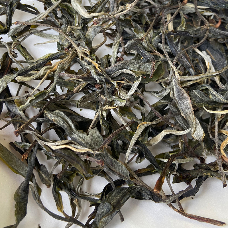 冰岛糯伍混采B级︱ 头春茶 2025年版本 普洱茶生茶