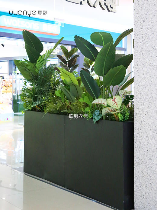 高仿真植物造景定制设计/商场家居多场景生态景观搭建+一站式安装（具体价格可咨询商家） 商品图4