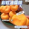 山东蒙阴彩虹油蟠桃4.5斤装(13-16个） 商品缩略图9