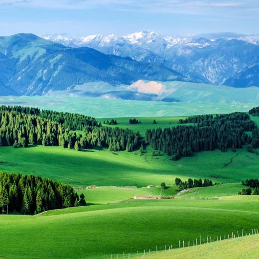 新疆大环线·双点进出双飞8日游-不走回头路【业主专团】纯玩0购物 小区接送 【旅游】 商品图1