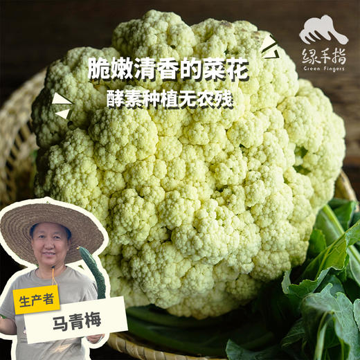 生态花椰菜（白菜花/西兰花）| 合作生产*Ecological Broccoli | Partner Production 商品图0