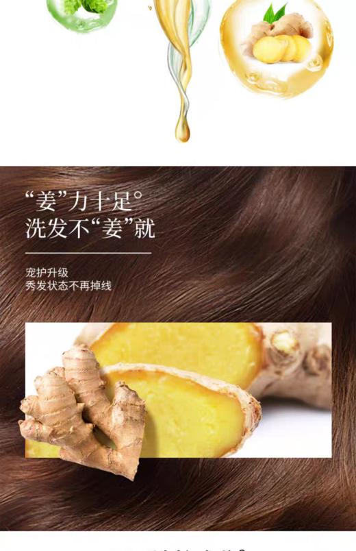 蜂花生姜健发洗发露 商品图1