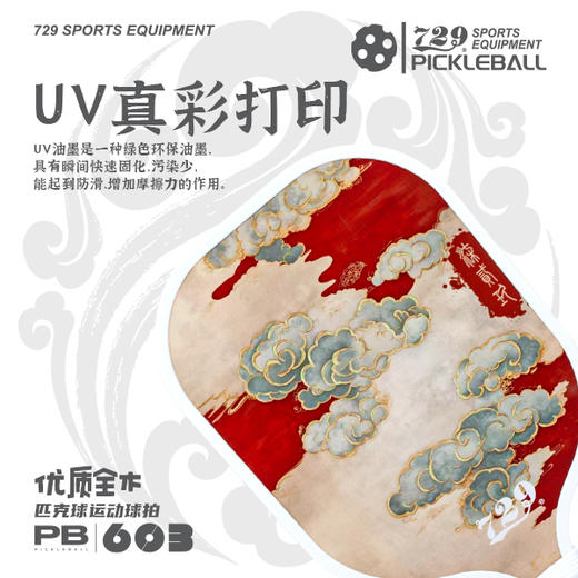 [2拍送4球] 友谊729 匹克球603型五层杨木底板耐打耐磨专业匹克球拍大童成人室内外通用套装 商品图2