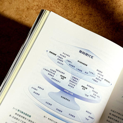 长三角教育现代化典型案例100 长三角教育现代化监测评估研究丛书 商品图9