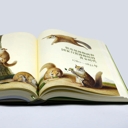 《法国国家自然博物馆犊皮纸博物画：艺术与科学完美融合的传世瑰宝》 商品图3