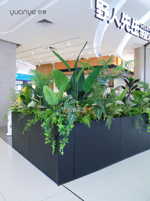 高仿真植物造景定制设计/商场家居多场景生态景观搭建+一站式安装（具体价格可咨询商家） 商品图3
