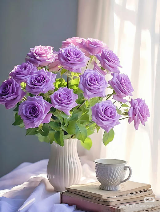 预售16号到货紫色单头玫瑰海洋之歌 一扎10支 支长55厘米 商品图1