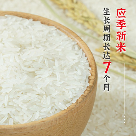 陇间柒月 柒月富硒大米5kg 商品图4