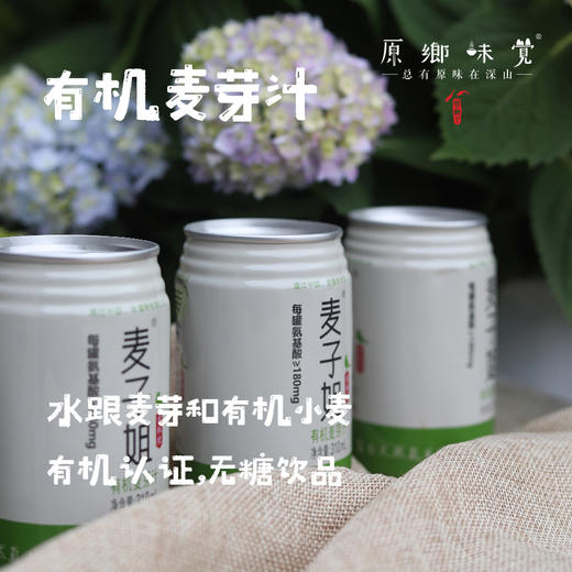 有机麦芽汁（基地直发-四通一达包邮）| 310ml/罐，来自福建南平，生产者：刁桂华【合作生产，公平贸易】 商品图0
