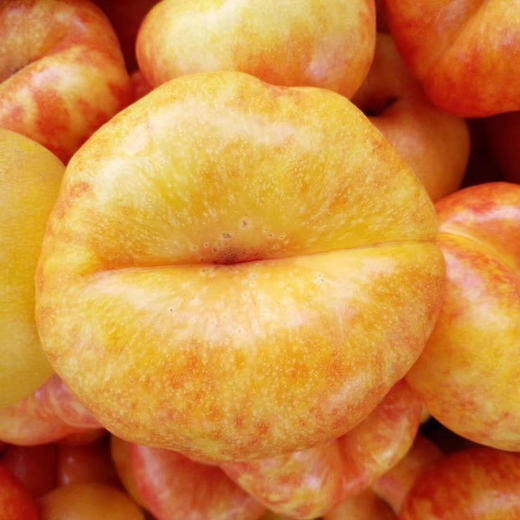山东蒙阴彩虹油蟠桃4.5斤装(13-16个） 商品图0