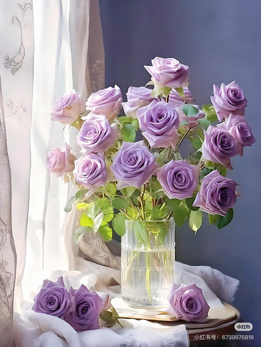 预售16号到货紫色单头玫瑰海洋之歌 一扎10支 支长55厘米 商品图2