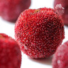 生态仙居东魁杨梅 | 合作生产*Eco-waxberry | Coproduction 商品缩略图3