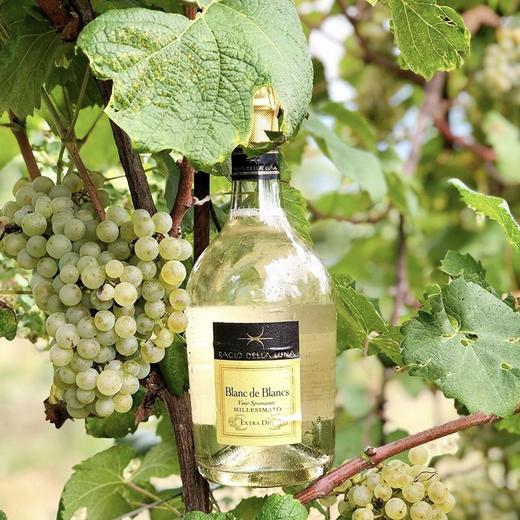 罕见年份白中白！不过百好价【香槟平替】！月亮之吻白中白年份起泡酒 Bacio della Luna Blanc de Blancs ‌Millesimato 2024 商品图4