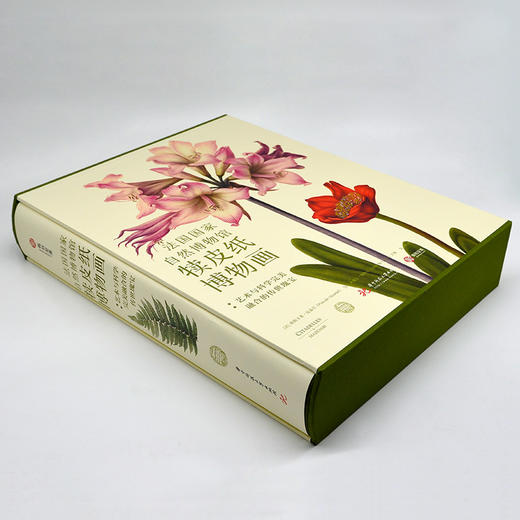 《法国国家自然博物馆犊皮纸博物画：艺术与科学完美融合的传世瑰宝》 商品图2