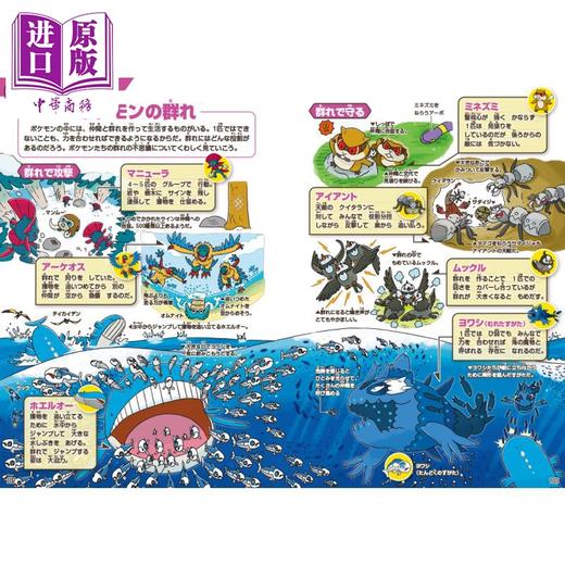 【中商原版】宝可梦生态图鉴 精灵宝可梦 口袋妖怪 日文原版日韩 ポケモン生態図鑑 商品图3