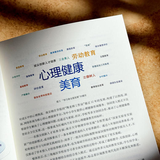 长三角教育现代化典型案例100 长三角教育现代化监测评估研究丛书 商品图8