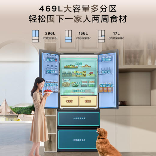 TCL大无界469升T9法式多门四开门58cm超薄零嵌入式底部散热双净味冰箱 R469T9-DQ 商品图7