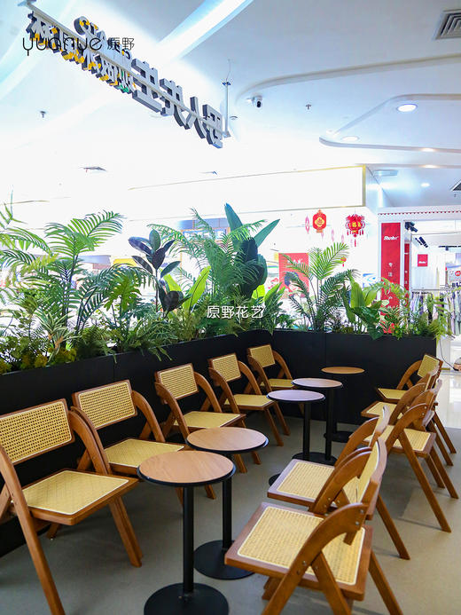 高仿真植物造景定制设计/商场家居多场景生态景观搭建+一站式安装（具体价格可咨询商家） 商品图8