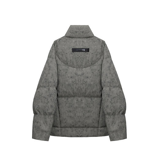 【新品上新】HX 冬季短款立领羽绒服90绒Z100440099101/02 商品图1