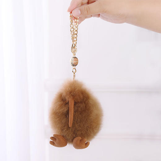 【订单实付低于299元，不发货】温暖驼 小几维鸟毛绒玩偶挂饰  6972796112875-F . 商品图5