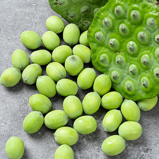 【严选】华贵新鲜莲蓬1斤/2斤/3斤  （厂家直发） 商品图3