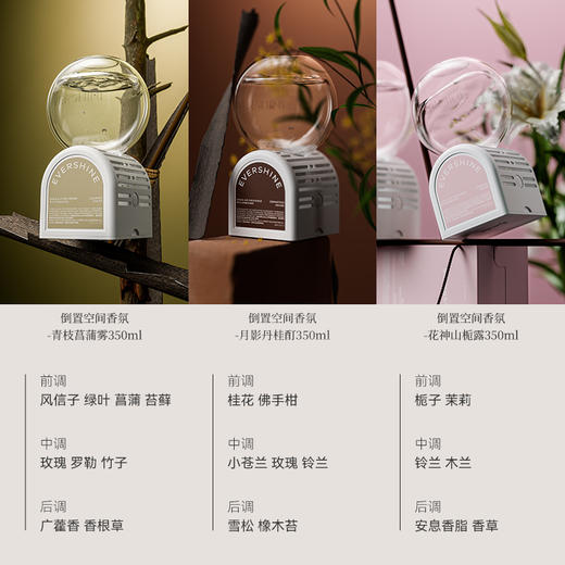 EVERSHINE倒置空间香氛# 专利倒置扩香，60天持久留香，5分钟除臭，98%异味去除率~ 99%除菌率【G】 商品图7