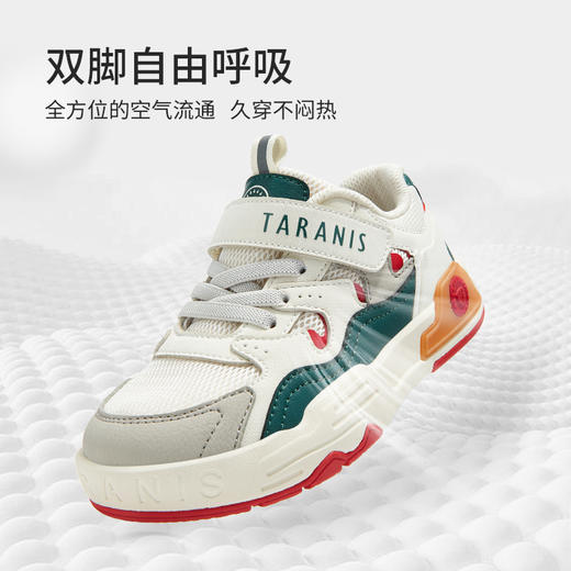 泰兰尼斯秋季新款儿童板鞋男童轻便软底运动鞋低帮户外经典休闲鞋  T02X5C6882 商品图4