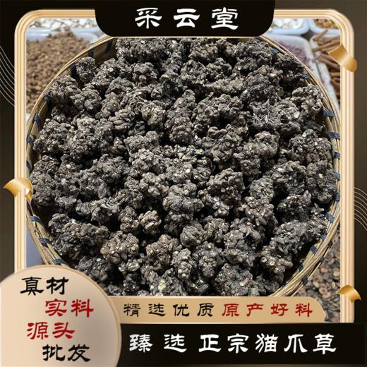 猫爪草 商品图0