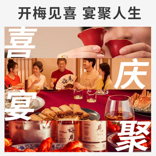 五天左右发货可定制 【自营】梅见原果青梅酒12度750ml 微醺果酒梅子酒浸泡酒甜酒宴请喜宴赠礼 商品图7