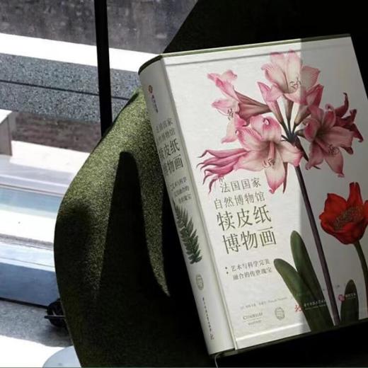 《法国国家自然博物馆犊皮纸博物画：艺术与科学完美融合的传世瑰宝》 商品图7