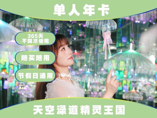 【海滨城·精灵王国】单人年卡 商品图0