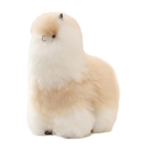 温暖驼 中号羊驼毛绒玩偶-双色  6972796112752-F . 商品图0