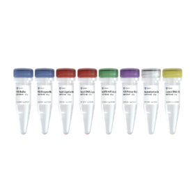 VAHTS Universal Plus DNA Library Prep Kit for Illumina