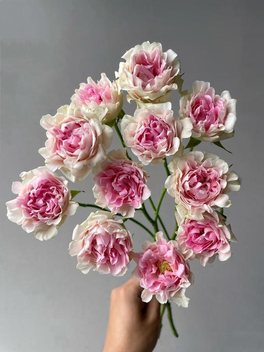 国产小众花材LUV卢浮泡泡多头玫瑰花10支 商品图1