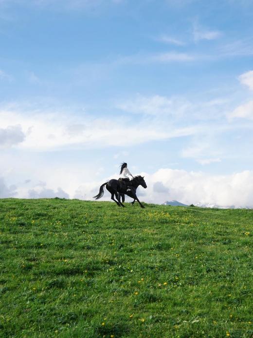 新疆大环线·双点进出双飞8日游-不走回头路【业主专团】纯玩0购物 小区接送 【旅游】 商品图9