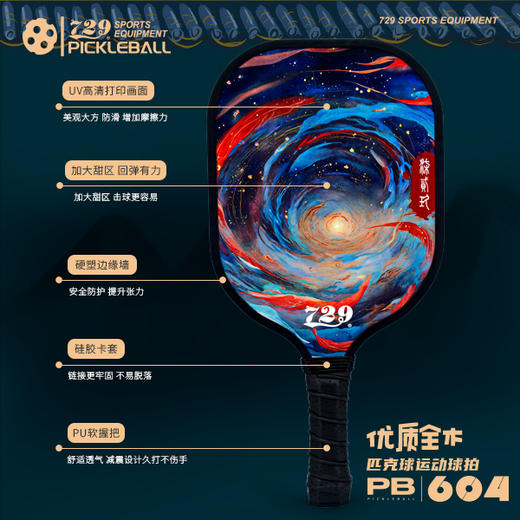 [2拍送4球] 友谊729 匹克球604型五层杨木底板耐打耐磨专业匹克球拍大童成人室内外通用套装 商品图1