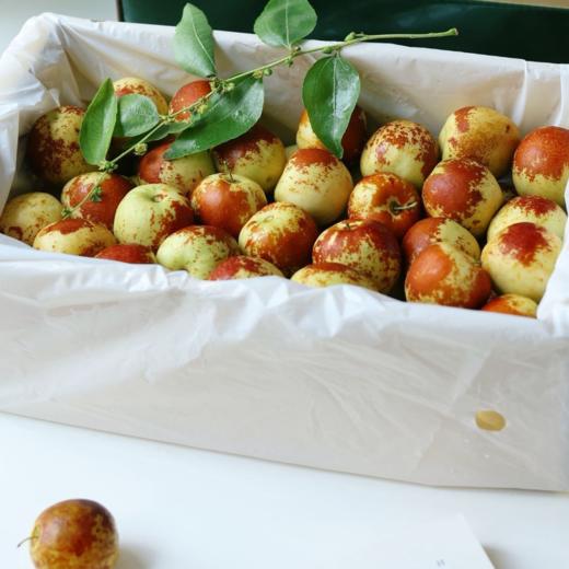 牛奶冬枣，皮薄核小，甜脆多汁，出口标准，现摘现发，72小时顺丰包邮 商品图2