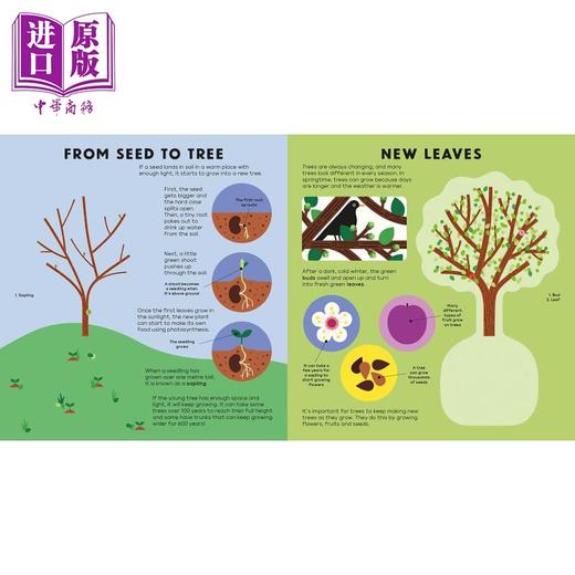 【中商原版】透明页科普互动书4册套装 身体Body 树木Tree 英文原版 进口图书 儿童百科绘本 人体 植物 自然 鲨鱼 科普图画书 商品图1